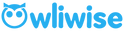 Owliwise Store